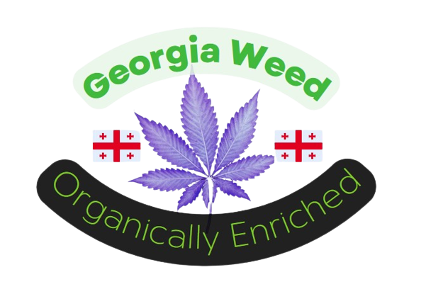 BUY WEED GEORGIA